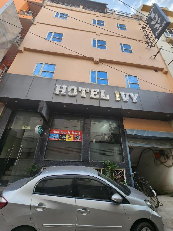 Hotel Ivy Plaza Luxury ニューデリー エクステリア 写真