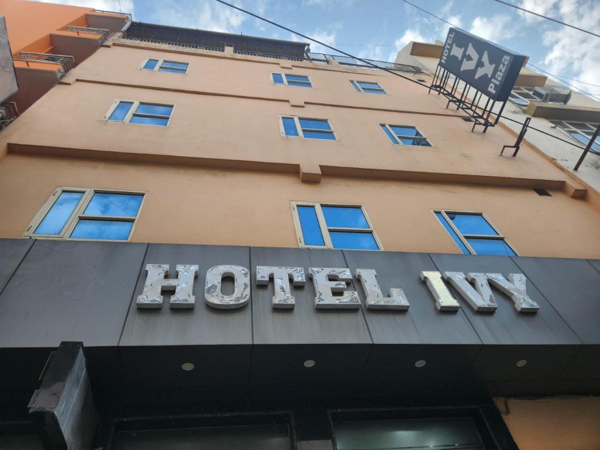 Hotel Ivy Plaza Luxury ニューデリー エクステリア 写真